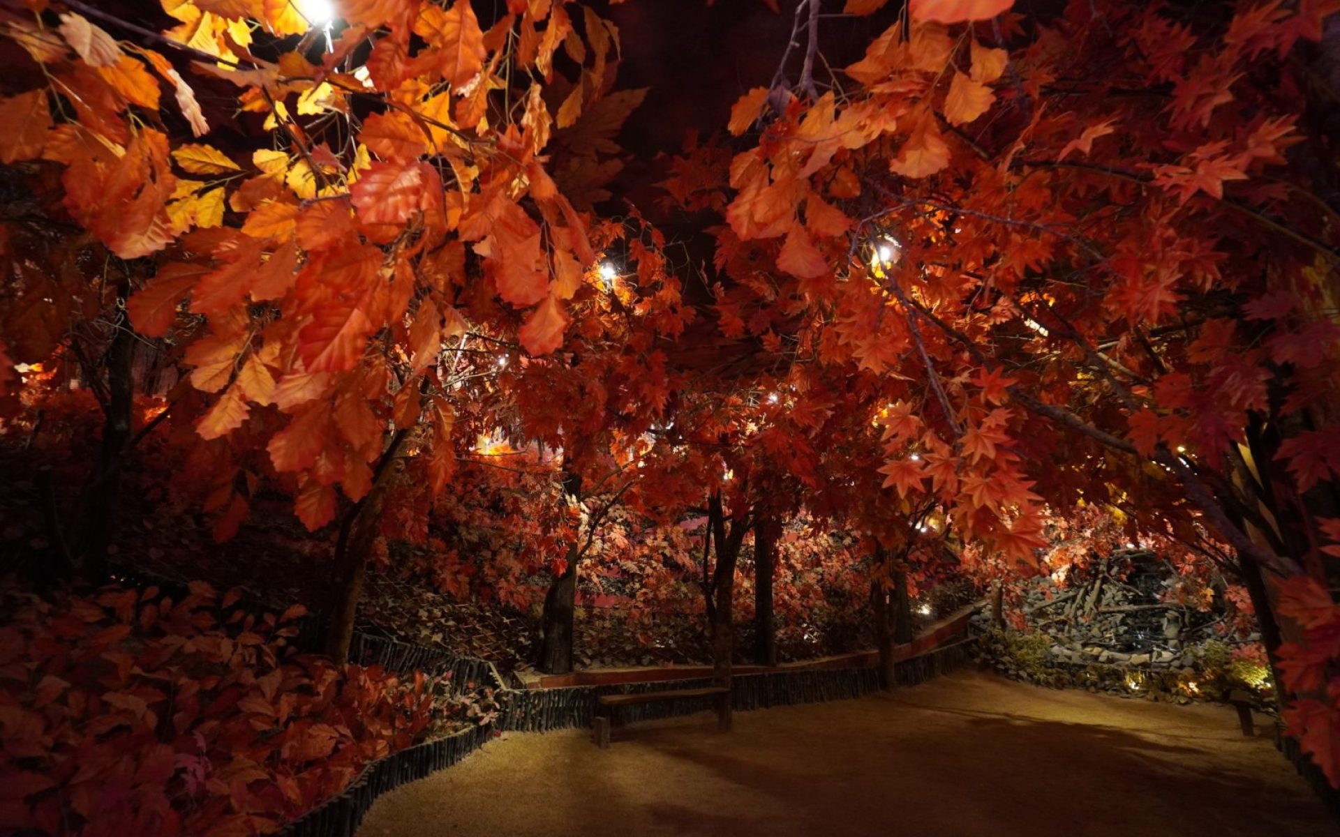 Autumn